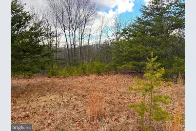 1489 Painter Hollow Road, Fort Ashby, WV 26719 - Photo 21