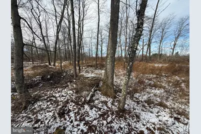 240 Brush Alley, Elk Garden, WV 26717 - Photo 7