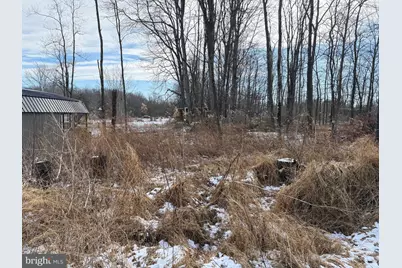 240 Brush Alley, Elk Garden, WV 26717 - Photo 23