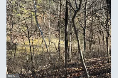 40 Amandas Lane, Keyser, WV 26726 - Photo 43