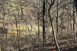 40 Amandas Ln, Keyser, WV 26726 - Photo 43