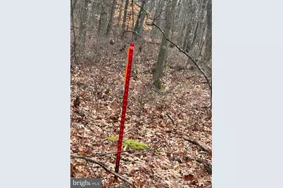 Oakmont Road, Elk Garden, WV 26717 - Photo 7