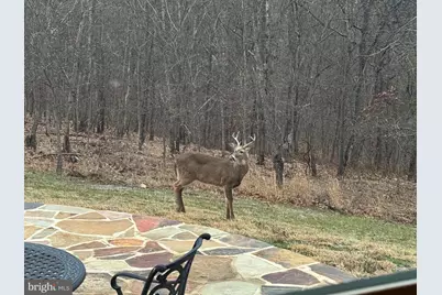 879 Olde Oak View Drive, Springfield, WV 26763 - Photo 55