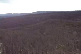 364 Katie Dr, Keyser, WV 26726 - Photo 59