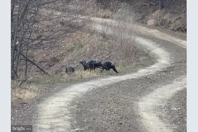 364 Katie Drive, Keyser, WV 26726 - Photo 47