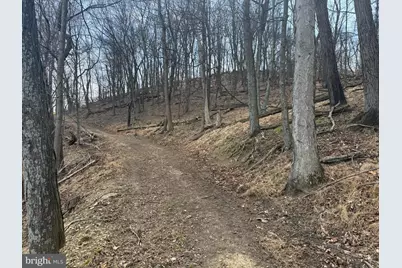 Waxler Road, Keyser, WV 26726 - Photo 7