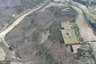 563 Valley Forge Ln, Burlington, WV 26710 - Photo 131