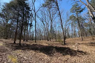 563 Valley Forge Ln, Burlington, WV 26710 - Photo 107