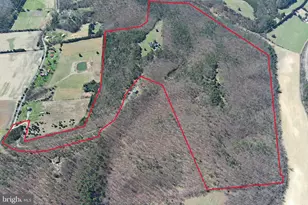 563 Valley Forge Ln, Burlington, WV 26710 - Photo 11