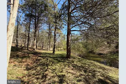 563 Valley Forge Lane, Burlington, WV 26710 - Photo 111