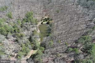 563 Valley Forge Ln, Burlington, WV 26710 - Photo 137