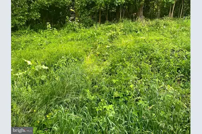 Miller Road, Ridgeley, WV 26753 - Photo 9