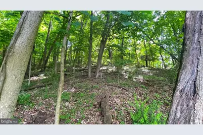 Miller Road, Ridgeley, WV 26753 - Photo 13