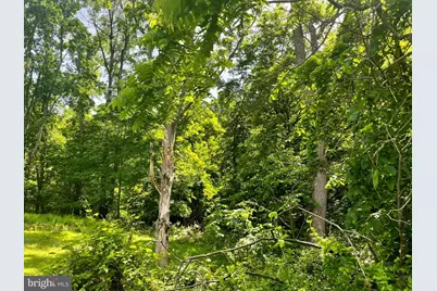 Miller Road, Ridgeley, WV 26753 - Photo 5