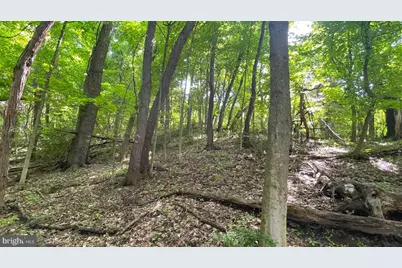 Miller Road, Ridgeley, WV 26753 - Photo 15