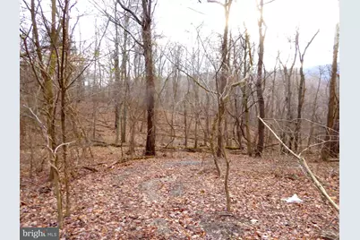 Lot B & Lot E S. Virginia Avenue, Ridgeley, WV 26753 - Photo 13