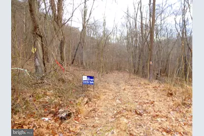 Lot B & Lot E S. Virginia Avenue, Ridgeley, WV 26753 - Photo 3