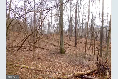 Lot B & Lot E S. Virginia Avenue, Ridgeley, WV 26753 - Photo 5