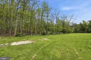 16118 Knobley Rd, Keyser, WV 26726 - Photo 43