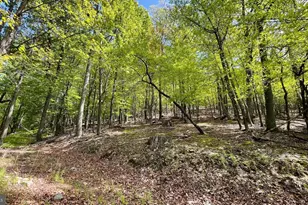 133 944 Acres Russelldale Rd, Burlington, WV 26710 - Photo 31