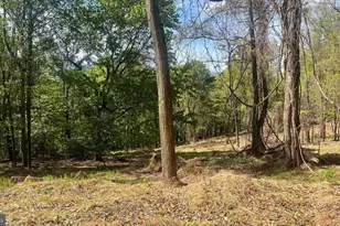 133 944 Acres Russelldale Rd, Burlington, WV 26710 - Photo 21