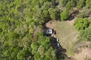 133 944 Acres Russelldale Rd, Burlington, WV 26710 - Photo 13