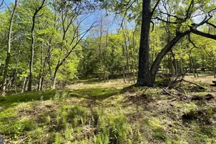 133 944 Acres Russelldale Rd, Burlington, WV 26710 - Photo 31