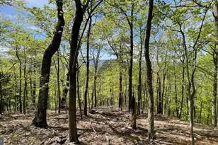 133 944 Acres Russelldale Rd, Burlington, WV 26710 - Photo 25