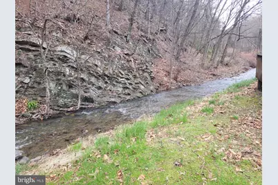 1224 Dry Run Road, Burlington, WV 26710 - Photo 9