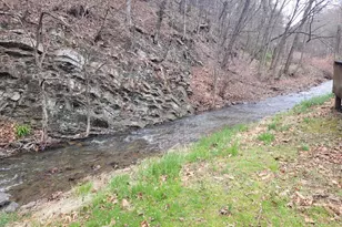 1224 Dry Run Rd, Burlington, WV 26710 - Photo 9