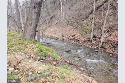 1224 Dry Run Road, Burlington, WV 26710 - Photo 11