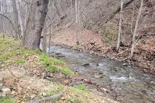 1224 Dry Run Rd, Burlington, WV 26710 - Photo 11