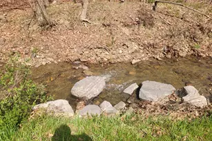 1224 Dry Run Rd, Burlington, WV 26710 - Photo 37