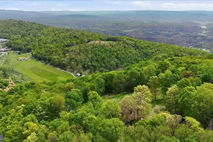 353 Overlook Terrace, Keyser, WV 26726 - Photo 31