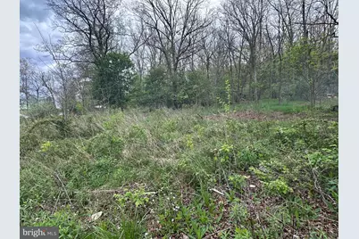 0 Cut Off Road, Keyser, WV 26726 - Photo 3