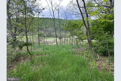 0 Cut Off Road, Keyser, WV 26726 - Photo 9