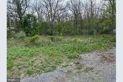 0 Cut Off Road, Keyser, WV 26726 - Photo 5
