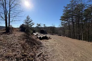 40 Amandas Ln, Keyser, WV 26726 - Photo 43