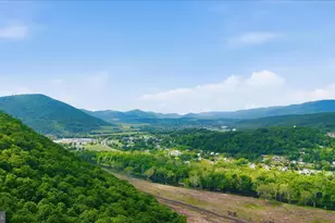 199 Buser St, Ridgeley, WV 26753 - Photo 49