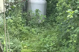 985 Dans Run Rd, Fort Ashby, WV 26719 - Photo 9