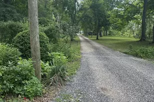 985 Dans Run Rd, Fort Ashby, WV 26719 - Photo 11
