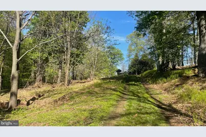 133.944 Acres Russelldale Road, Burlington, WV 26710 - Photo 3