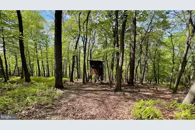 133.944 Acres Russelldale Road, Burlington, WV 26710 - Photo 1