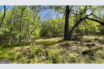 133.944 Acres Russelldale Road, Burlington, WV 26710 - Photo 15