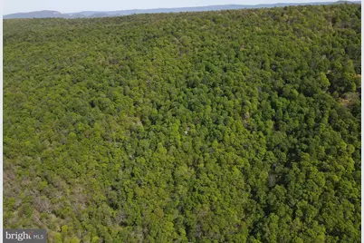 133.944 Acres Russelldale Road, Burlington, WV 26710 - Photo 7