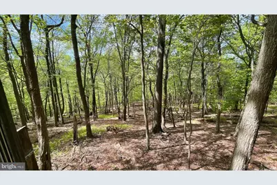 133.944 Acres Russelldale Road, Burlington, WV 26710 - Photo 9