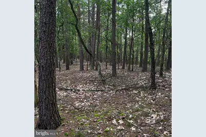 00 Headsville Rd, Keyser, WV 26726 - Photo 39