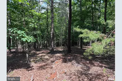 00 Headsville Rd, Keyser, WV 26726 - Photo 13