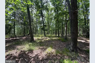 00 Headsville Rd, Keyser, WV 26726 - Photo 13
