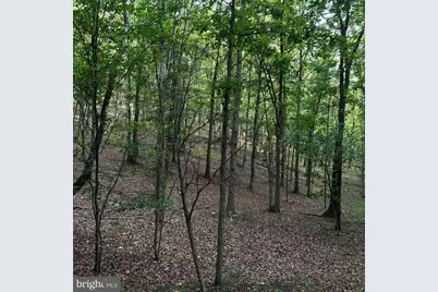 00 Headsville Rd, Keyser, WV 26726 - Photo 23